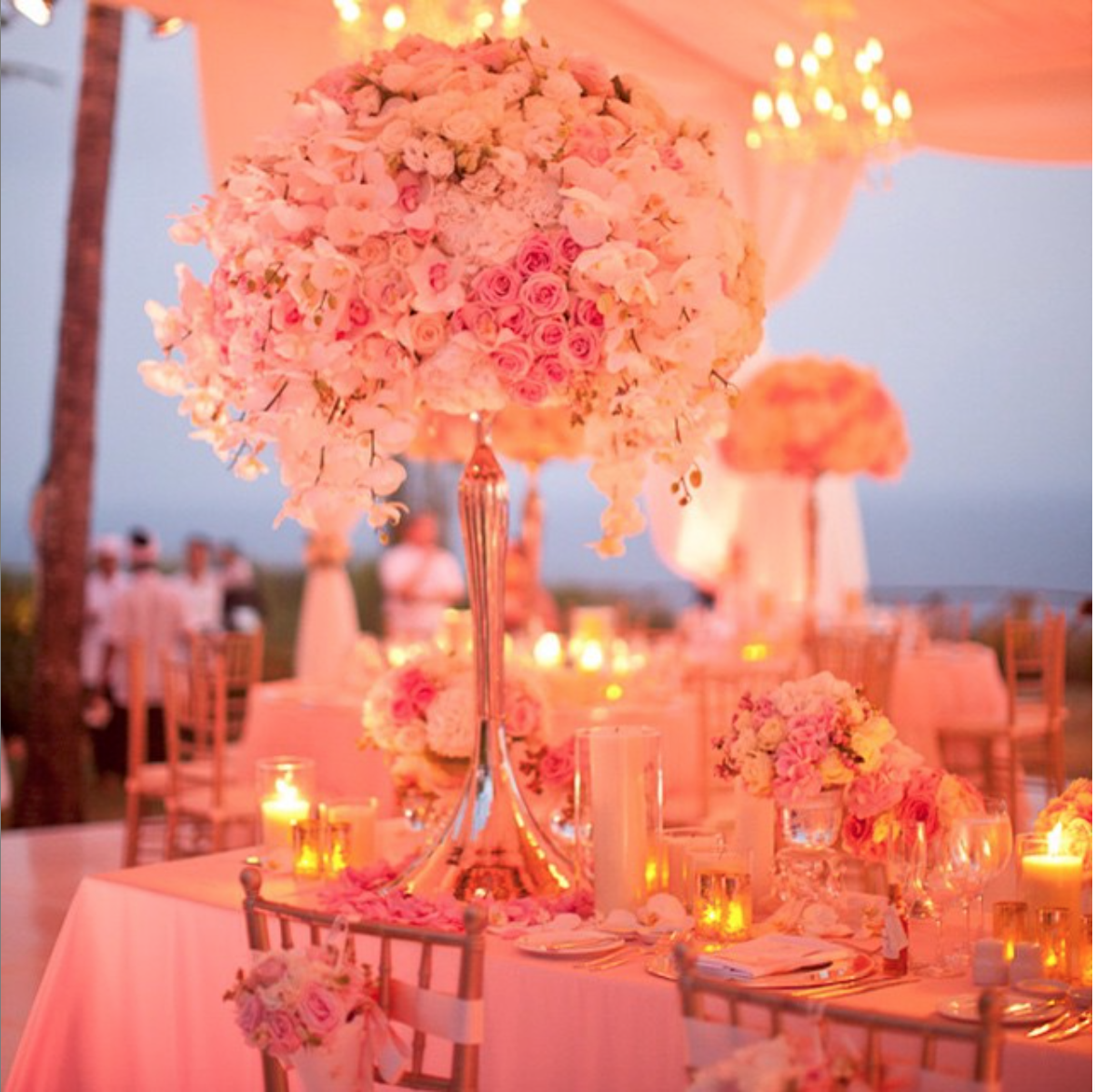 virtual events training