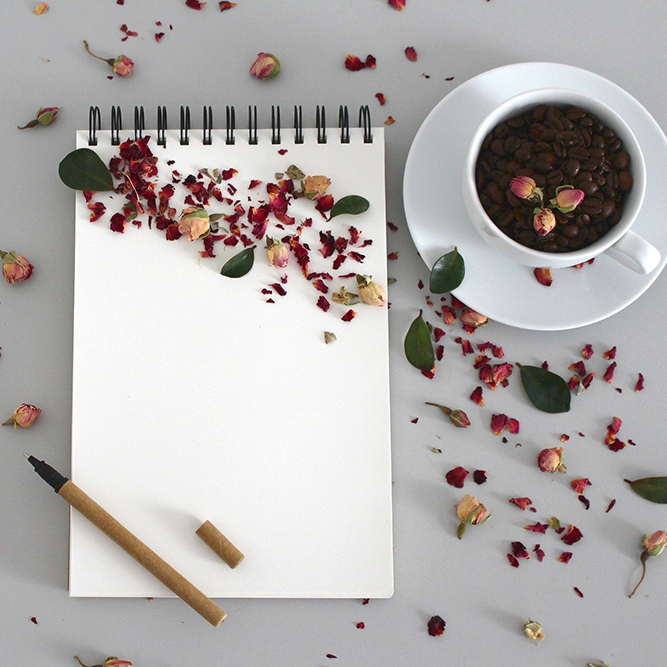 Event Coordinator